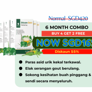 PAKEJ SEMBUH : 4 FREE 2 BOTOL
